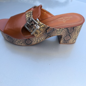 Shoe